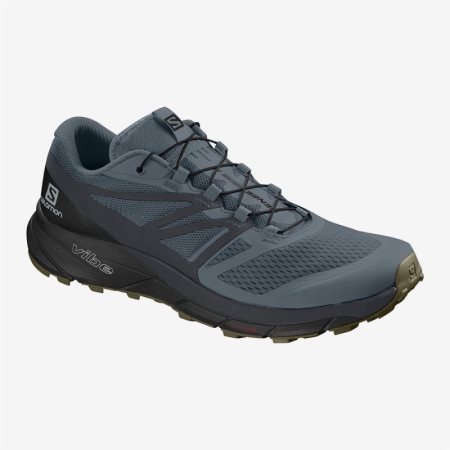 Salomon SENSE RIDE 2 Mens Trail Running Shoes Blue | Salomon South Africa